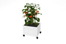 Classic Rolling Planter Planter Vita Canada
