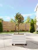 Classic Rolling Planter Planter Vita Canada