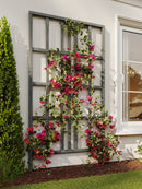 Urbana Medium Modern Trellis Trellis Vita Canada