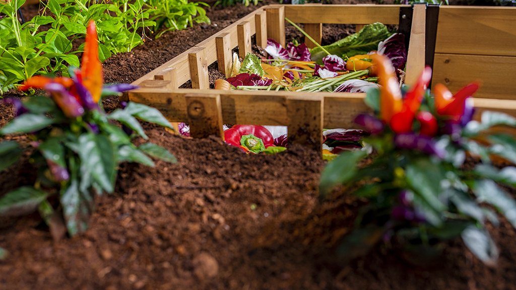 Keyhole garden with compost