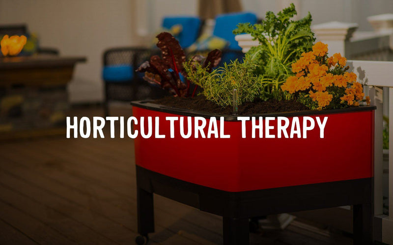 Horticultural Therapy?