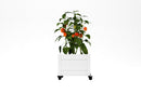 Classic Rolling Planter Planter Vita Canada 