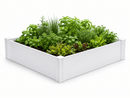 CLASSIC 4x4x11 Garden Bed Garden Vita Canada 