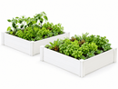 CLASSIC 4x4x11 Garden Bed 2 Pack Vita Canada 