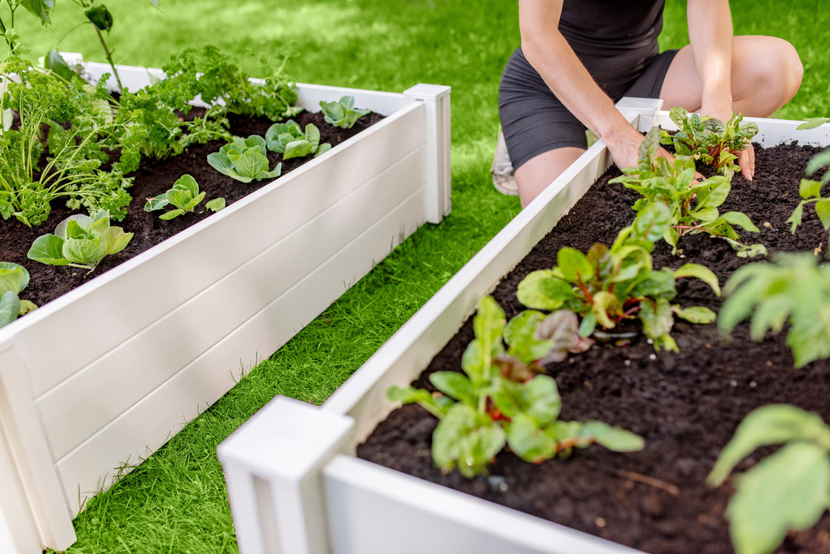 CLASSIC 4x4x11 Garden Bed 2 Pack