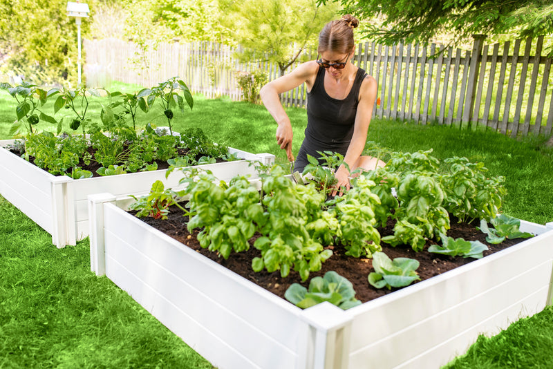 CLASSIC 4x4x11 Garden Bed 2 Pack Garden Vita Canada 