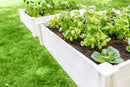CLASSIC 4x4x11 Garden Bed 2 Pack Garden Vita Canada 