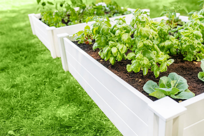 CLASSIC 4x4x11 Garden Bed 2 Pack Garden Vita Canada 