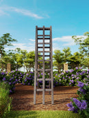 Urbana Ladder Trellis Trellis Vita Canada 