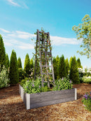 Urbana Ladder Trellis Trellis Vita Canada 