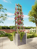 Urbana Ladder Trellis Trellis Vita Canada 