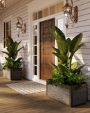 Delta 30" Modern Planter, 2 Pack Planter Vita Canada 