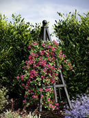 Cedar Garden Obelisk Decor Vita Canada 