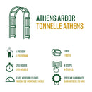 Athens Arbor Arbor Vita 