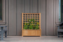 Rosewood Planter with Trellis Planter Vita 