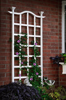 London Trellis Trellis na 
