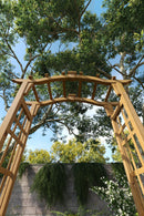 Westwood Arbor Arbor Vita 