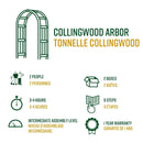 Collingwood Arbor Arbor Vita 