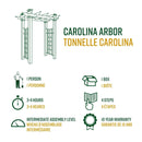 Carolina Arbor Arbor Vita 