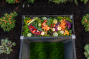 URBANA 6x6 Keyhole Composting Garden