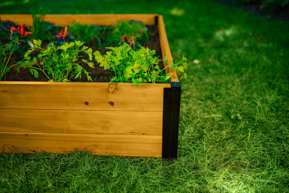 MEZZA 4x4x11 Garden Bed
