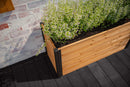 MEZZA Small Parklette Planter Planter Vita 