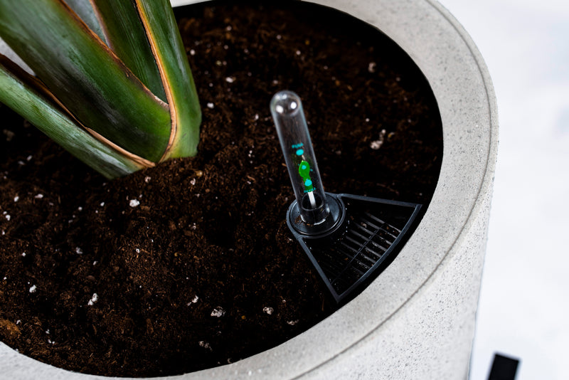 Växa 14” Self-Watering Planter